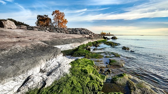 Baltic Sea at the heart of Caverion